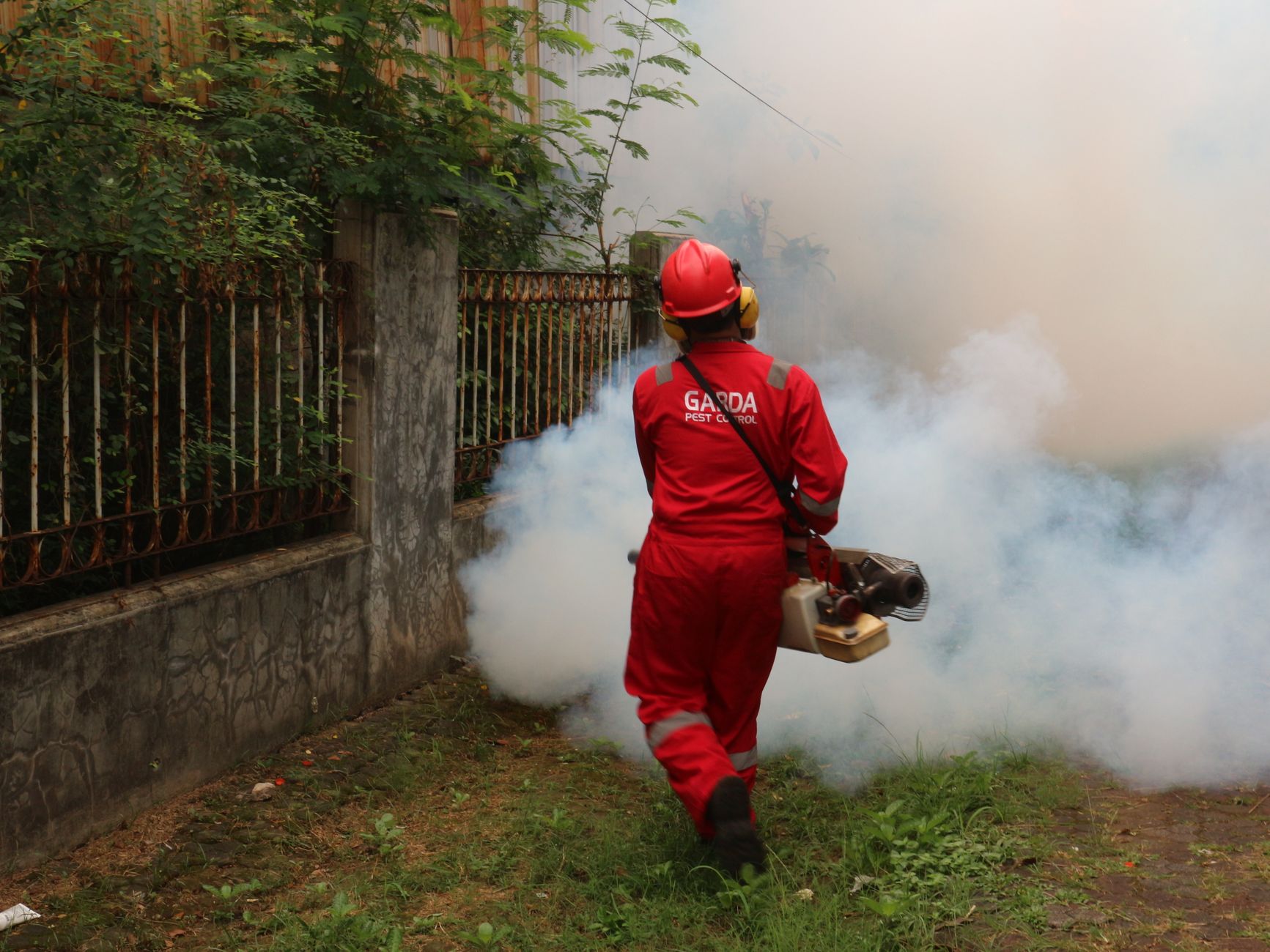 Mosquito Control in Phoenix