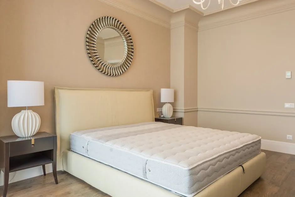 professional bed bug treatment services - licensed exterminator